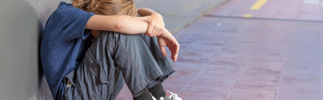 Ekspert: tehisaru annab kiusajale uue ja väga võimsa “tööriistakasti”