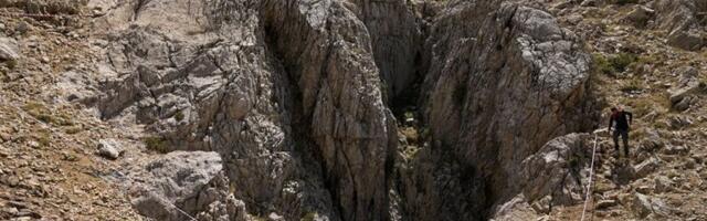 NAUČNICI U ČUDU: Otkrili fosil pećinskog lava, pa pronašli ovo na njemu