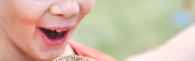 Rääbise lõpp tuleb ilus, soe ja maitsev