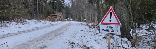 TÄDU GALERII: mis järelmid on RMK hooldusraiel