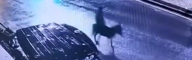 DELFI VOOG | Video_ Türgi juveeliröövel põgenes sündmuskohalt eesli seljas!