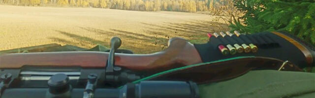 Itaalias lasid kolm jahimeest üksteist maha