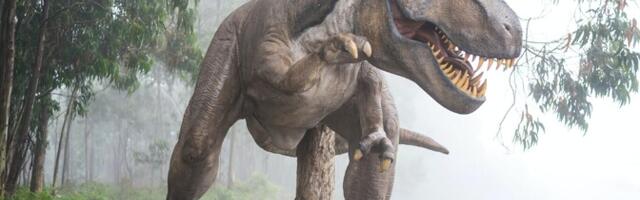 Türannosaurus jooksis kikivarvul