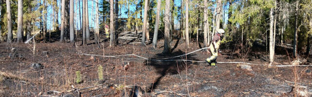 PILDID: Põlva vallas süütas põlev kulu metsa