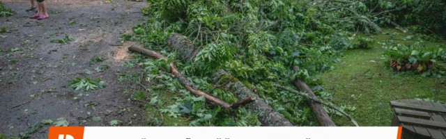 Reporter: Jaanipühad tõid päästele 578 väljakutset