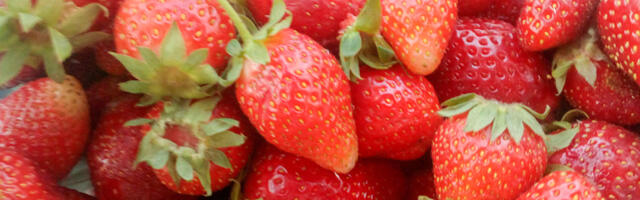 Üllatus: Tartu turul lasti hooaja lõpus maasika hind alla