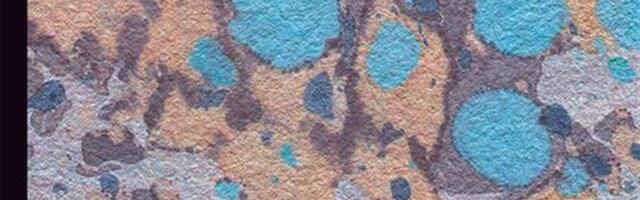 Parasjagu elutervet skepsist