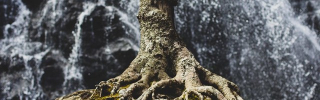 Chris Kala vlogi #26: enda tugevuste aktsepteerimisest