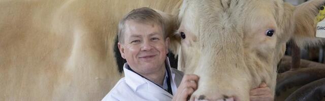 Parima tõupulli eest võib põllumees saada tuhandeid eurosid