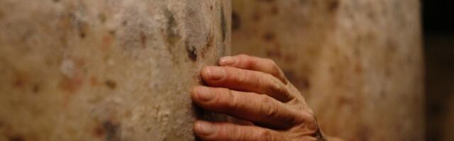 Juustust, huntidest ja pornost. Kumu Dokumentaal avab uue hooaja