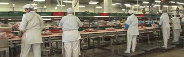 Eesti toidutööstuse gigandil Maagil suure maksukuriteo kahtlus