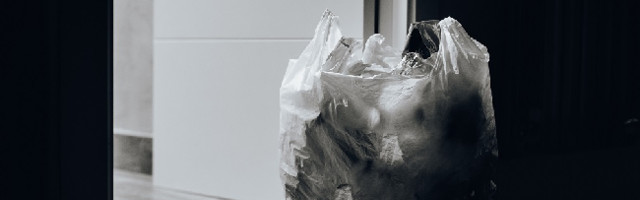 Eesti Linnade ja Valdade Liidu tegevdirektor arutles Vabariigi Presidendiga jäätmemajanduse teemadel