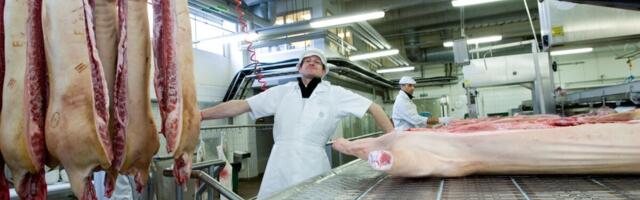 Energiavarustuse toetust saavad taotleda ka suured toidutootjad