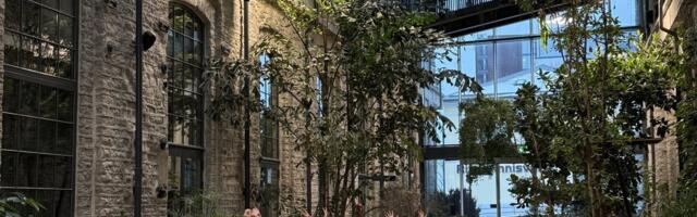 Kontoritöötaja tervisemured ja soovitused nende lahendamiseks