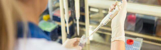 LABRIS selgitab: täiendavad analüüsid ei muuda fakti, et Nurme farmis levib seakatk