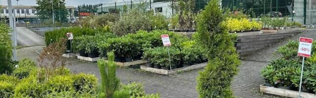 Rikets aianduskeskus avahooajast: katsumusi jagus küllaga