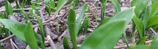 GALERII: karulaugu hooaeg on alanud