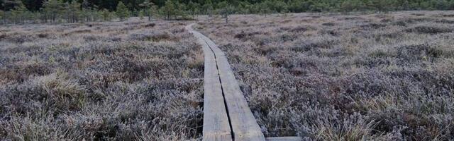 RKIK in­ves­tee­rib Li­na­jär­ve laud­tee ra­ja­mis­se