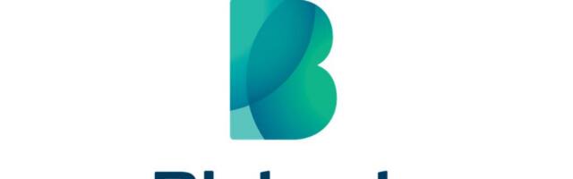 Bigbank: vahe kärises, eestlaste kodulaenud olid aasta lõpus naabritest veelgi suuremad