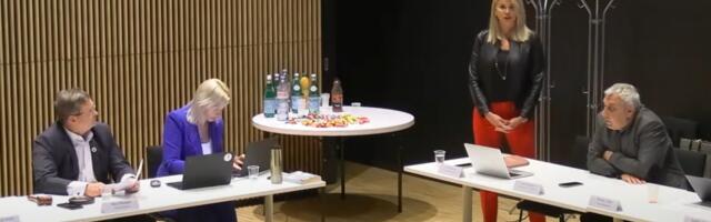 Võimuliidu häältega sai revisjonikomisjoni juhiks Raimo Tann