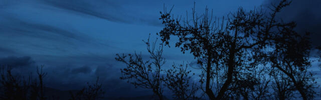 KÕVA SÕNA: IT-visionäär tõrjub pessistlikku suhtumist