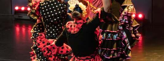 Tartus algab flamenkonädal 