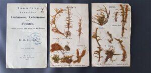 Loodusmuuseumi herbaarium-raamat