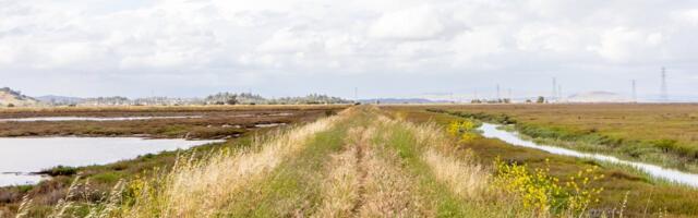 Maaomanikud saavad lihtsustatud korras maaparandussüsteemid registrisse kanda