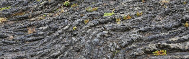 Mõrad globaalse teaduse kaunis tulevikus