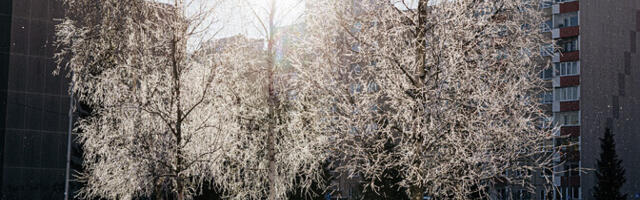 Vastlanädal tuleb talvine