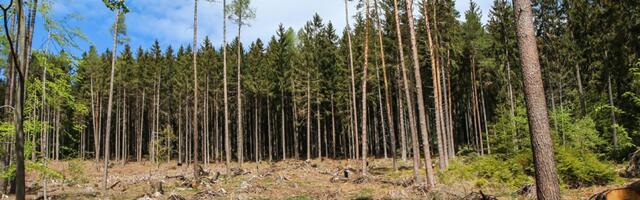 PUIDUTURG | Juuli märksõna on „hinnatõus“