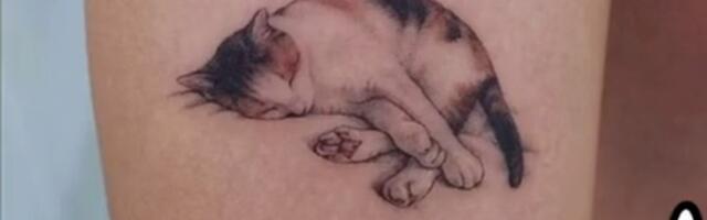 Neiu sai magava kassiga tätoveeringu asemel sirgeldise, mis meenutab surnud rotti