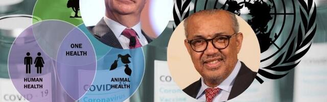 WHO plandeemialeping ebaõnnestus esialgu! Plaan B: ülemaailmne tervisestrateegia One Health