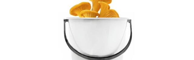 PPA: kui metsa, siis valge ämbri, laetud telefoniga ja hätta sattudes helista 112!