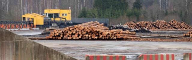 Heitlik ilm survestab puiduturgu