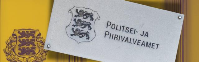 Nora Kurik_ PPA kohtutee viimase võimaliku kohtuastmeni – kas üldse on järgitud hea halduse tava ja koheldud inimest õiguste subjektina?