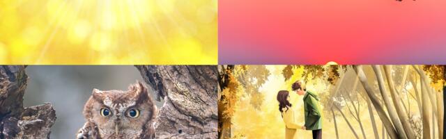 Isiksusetest: vali üks pilt ja avasta, millist sõnumit sinu alateadvus praegu vajab