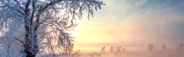 Päevahoroskoop : kolmapäev, 21. jaanuar