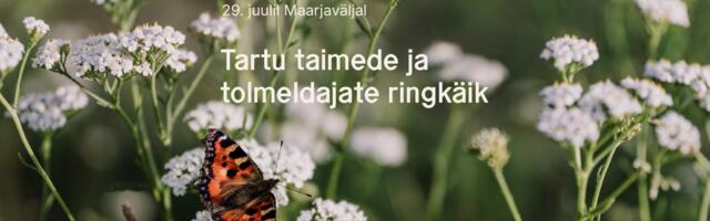 Maarjaväljal toimub taimede ja tolmeldajate ringkäik koos TÜ teadlastega
