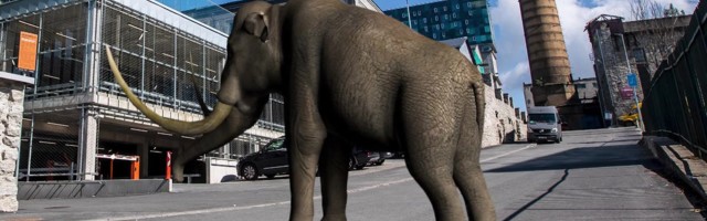 Reporter: Mammutite hambaid uurinud õpilane võitis kõvasti auhindu