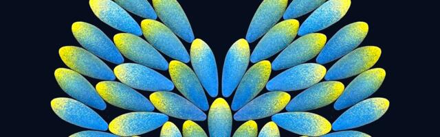 Kanna armeetoone ja võida võrratult kaunis Tanel Veenre ehtekomplekt