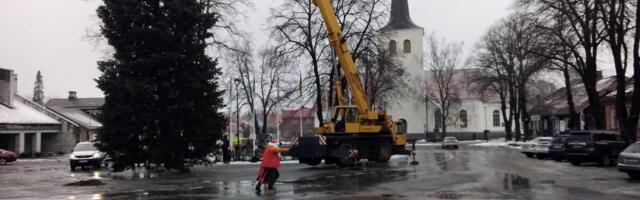 KLÕPS: jõulupuu jõudis Paide keskväljakule