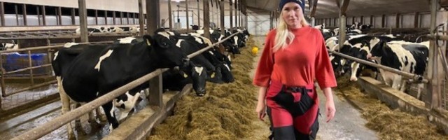 Aasta põllumees 2020 kasvatab piimakarja ja harib noortalunikke