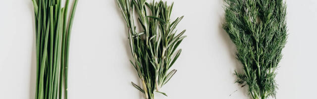 Kevään vihreä buumi alkaa pihasta ja päättyy kattilaan