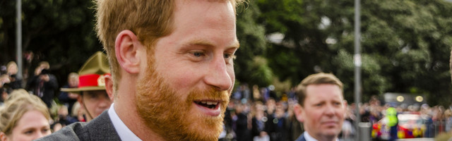 PRINTS HARRY TEGI valusa pihtimuse oma mineviku kohta