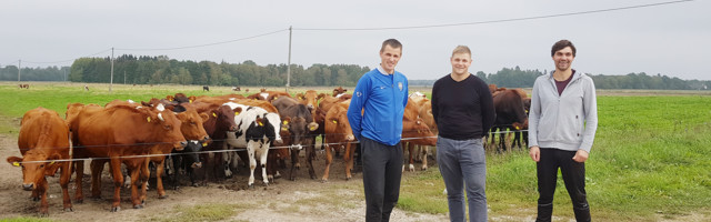 Mereranna ühistust sai aasta algul kahe venna firma