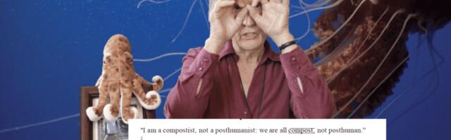 Lilian Hiob: posthumanistlik esteetika kaasaegses kunstis