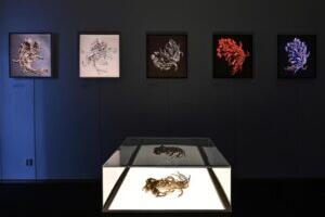 Surnud lille tasane hääl