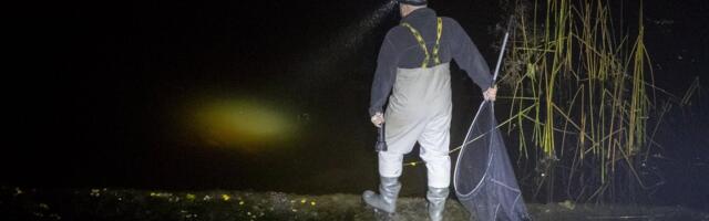 Endine röövpüüdja Teet avab valdkonna saladusi: „Ega ma kõike, mis toimub, sulle nagunii räägi“