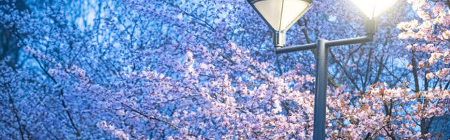 November toob külmema ilma ja tõstab kütmisega seotud elektrinõudlust